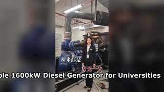 Alimentando universidades con un generador diésel Yuchai de 2000 kVA | PODER MBKL